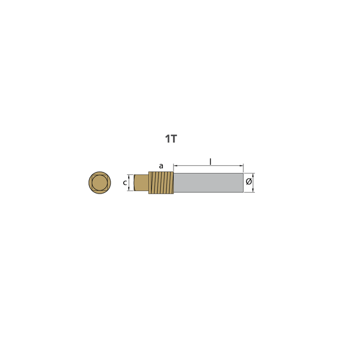 Zinkanod Volvo Penta, typ pencil anode Ø15 L.40 with brass plug th.1/2'' Bspt, VP 838929