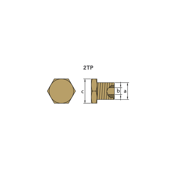 Zinkanod Bukh pencil anod Ø10*18mm, komplett med mässings plugg 1/4'' bspt, motor - AnodeFactory